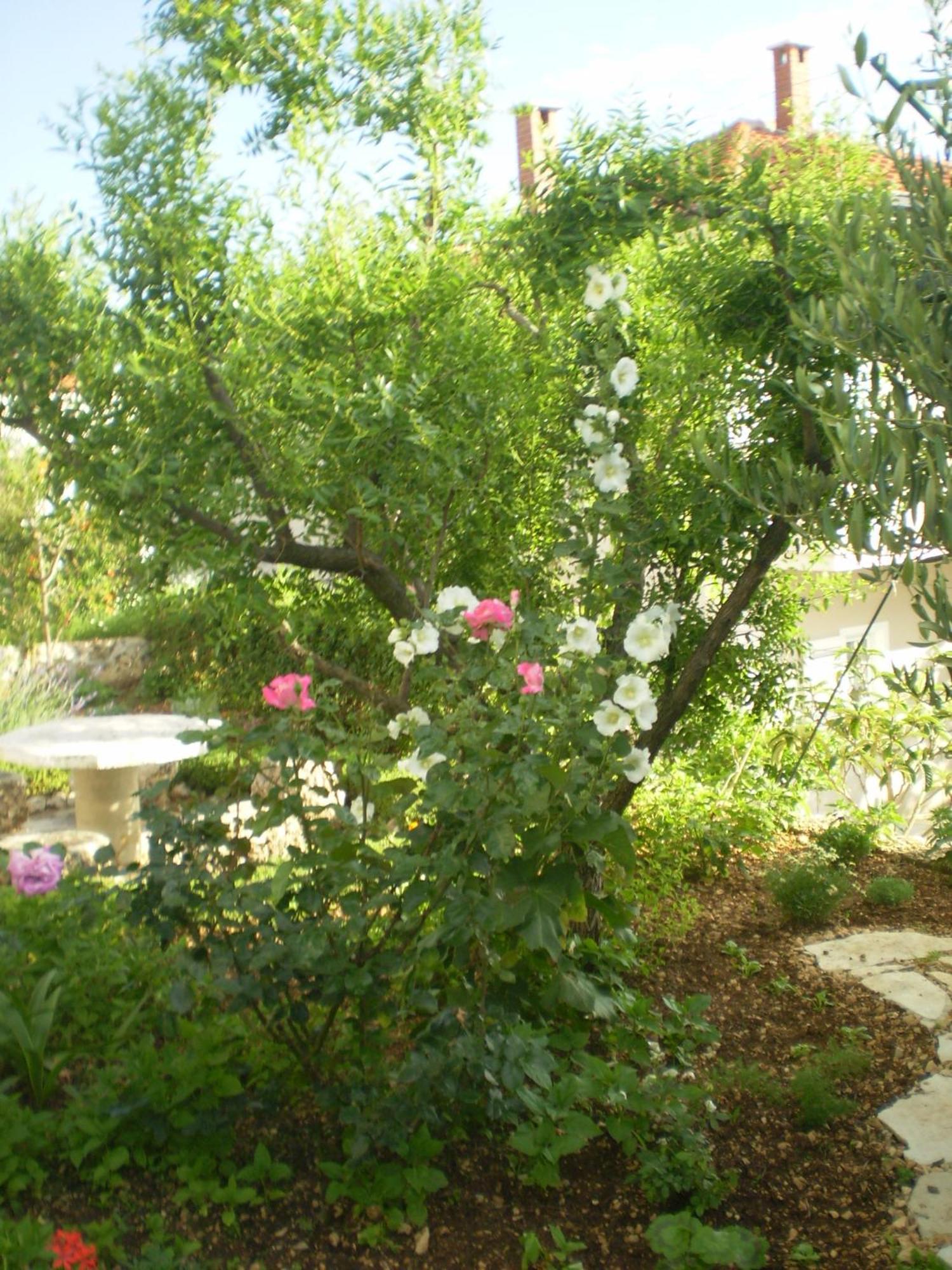 Apartmani Villa Marija Omis Exterior photo